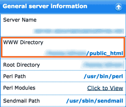 WWW Directory in cPanel